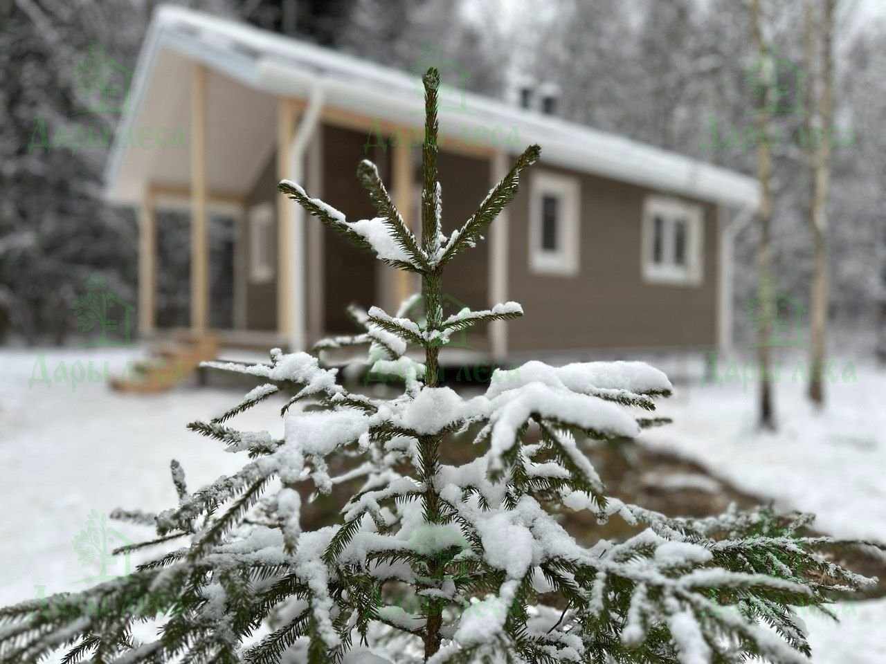 Мечта 6х6,7 в имитации бруса с покраской